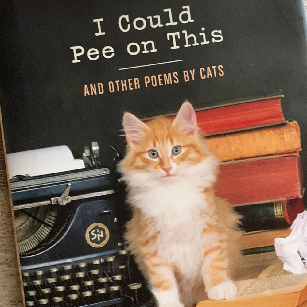 Funny cat book